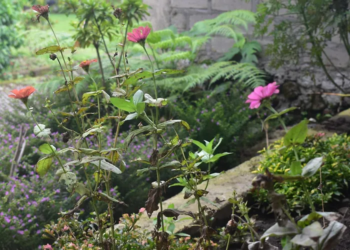 Mama\'S Homestay Ruteng